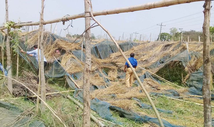 বাগমারায় উদ্ধার হলো সরকারী সম্পত্তি, হবে আশ্রয়ন প্রকল্পের ঘর