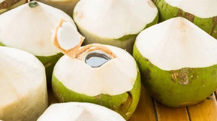 যেভাবে ডাবের ভেতরে পানি জমা হয় 