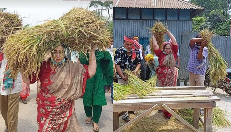 কৃষকের ধান কেটে মাড়াই করে দিলেন মহিলা আসনের এমপি