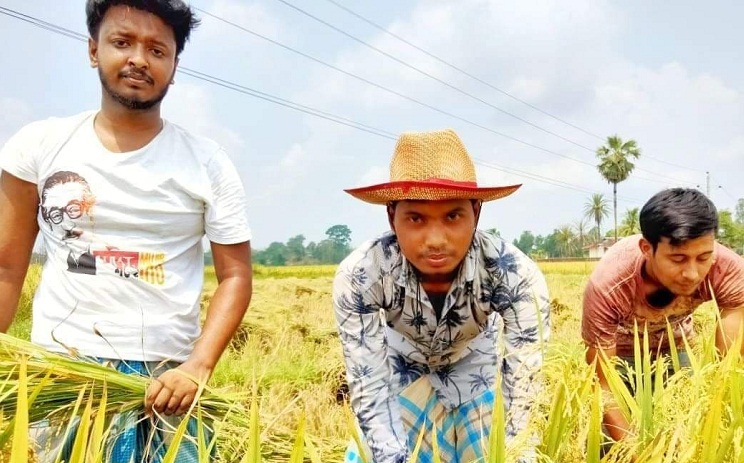 রাঙ্গুনিয়ায় কৃষকের পাকা ধান কেটে ঘরে পৌঁছে দিলেন পদুয়া ইউনিয়ন ছাত্রলীগ