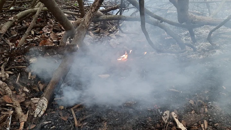 আবারও জ্বলছে সুন্দরবন