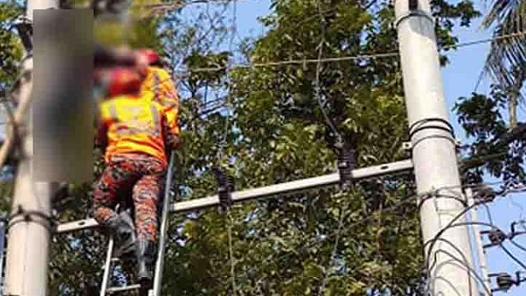 কিশোরগঞ্জে বিদ্যুৎস্পৃষ্টে একই পরিবারের ৩ জনের মৃত্যু