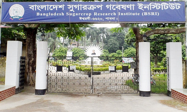 ৩৭ জনকে নিয়োগ দেবে বাংলাদেশ সুগারক্রপ গবেষণা ইনস্টিটিউট