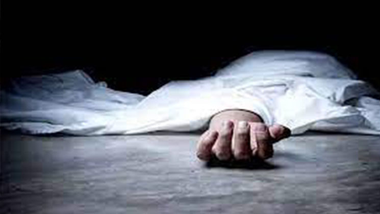 পুত্রবধূর ছুরিকাঘাতে শাশুড়ির মৃত্যু