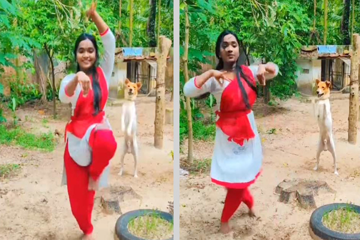 ধ্রুপদী গানে যুবতীর সঙ্গে নেচে ভাইরাল কুকুর