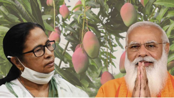 মোদিকে আম পাঠালেন মমতা