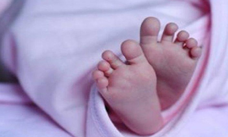 ইডেন কলেজের সামনে থেকে নবজাতকের মরদেহ উদ্ধার