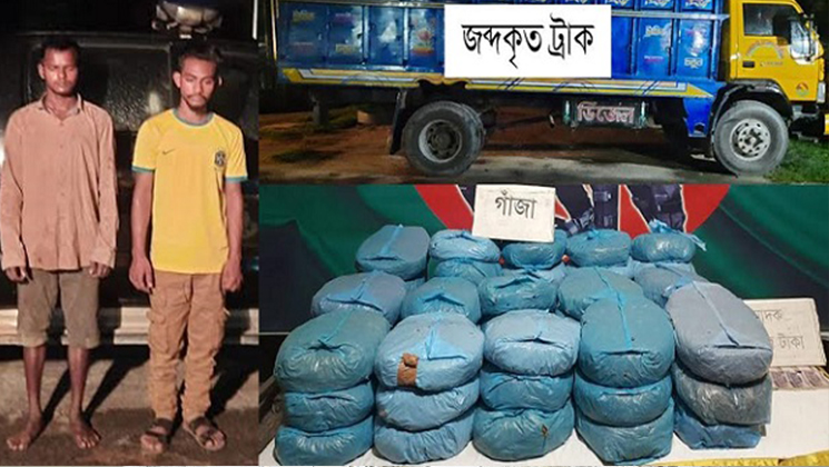 ব্রাহ্মণবাড়িয়ায় ৫০ কেজি গাঁজাসহ ব্রাজিল সমর্থক আটক