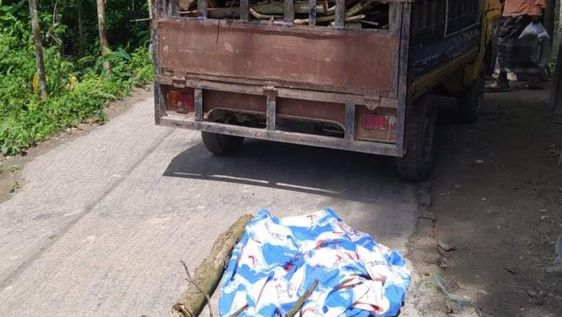 ফরিদগঞ্জে সড়ক দুর্ঘটনায় শিশুর শানজিদার মৃত্যু
