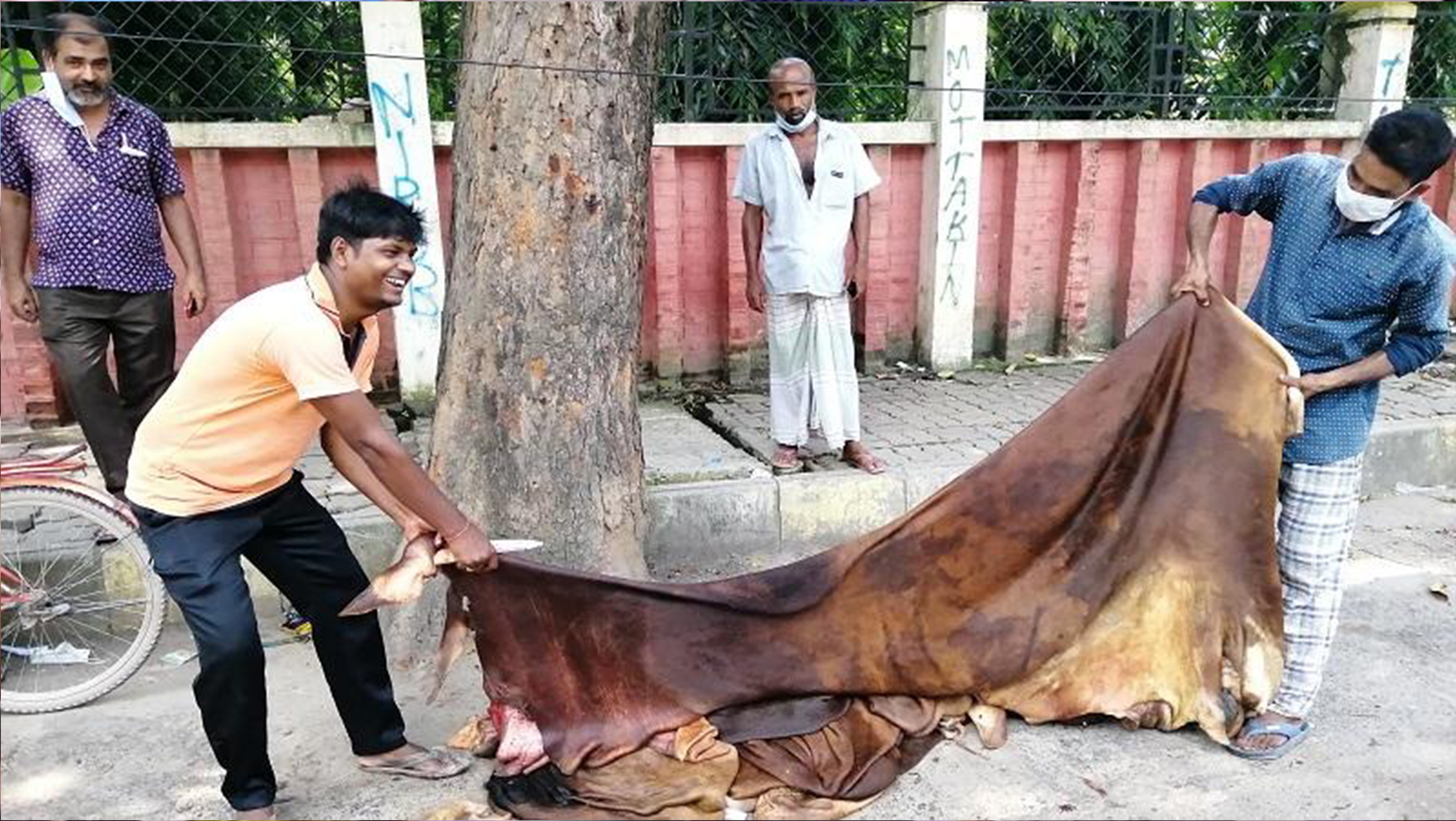 কোরবানির পশুর চামড়ার দাম নির্ধারণ করল সরকার