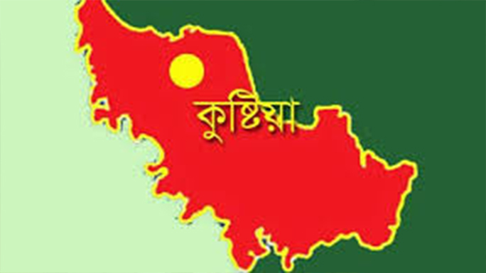কাঠালপাড়াকে কেন্দ্র করে হামলায় বৃদ্ধ নিহত 