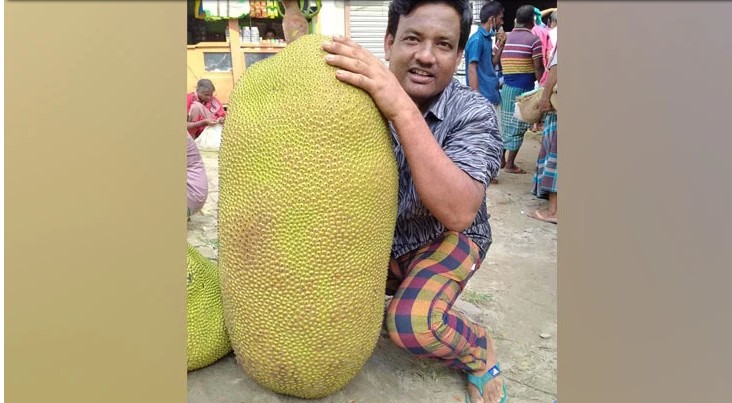 এক কাঁঠালের দাম ১৩০০ টাকা
