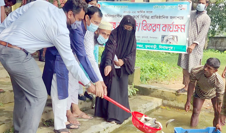 ফুলবাড়ীতে মাছের পোনা অবমুক্ত