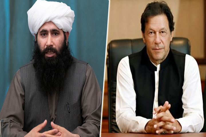 কাশ্মীর পেতেই হাত মিলিয়েছেন তালেবান-ইমরান খান