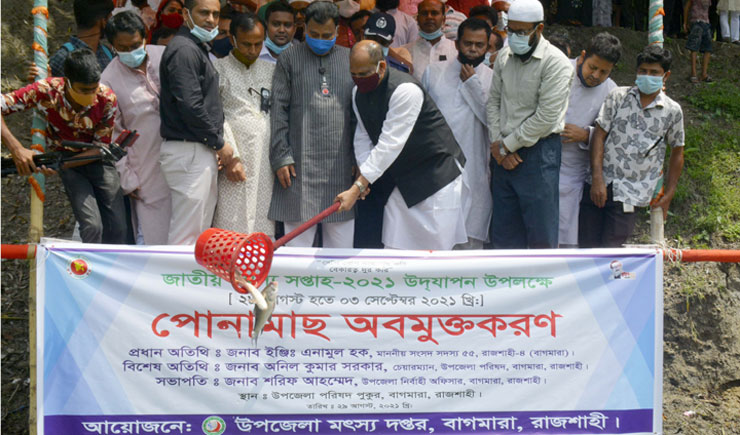 বাগমারায় জাতীয় মৎস্য সপ্তাহে মাছের পোনা অবমুক্তকরণ