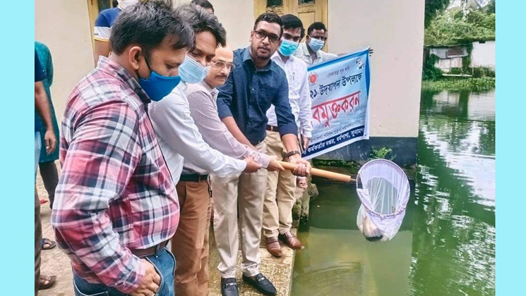 সুনামগঞ্জে ধর্মপাশায় পোনা মাছ অবমুক্ত