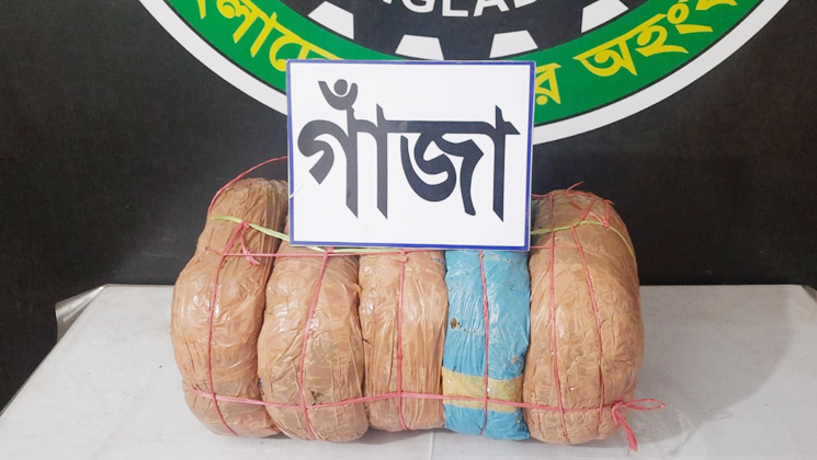 ১১ কেজি গাজাসহ আটক মাদক ব্যবসায়ি  