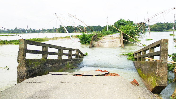 টাঙ্গাইলে পানির স্রোতে ভেঙে পড়ল কালভার্ট
