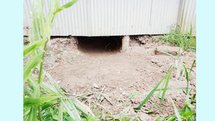 কালীগঞ্জে ঘরের সিঁধ কেটে দুর্ধর্ষ চুরি