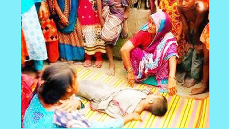 তাড়াশে ভীমরুলের কামড়ে শিশুর মৃত্য  