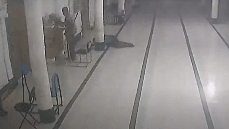 মাজারের মসজিদ থেকেই কোরআন নিয়েছিল ইকবাল