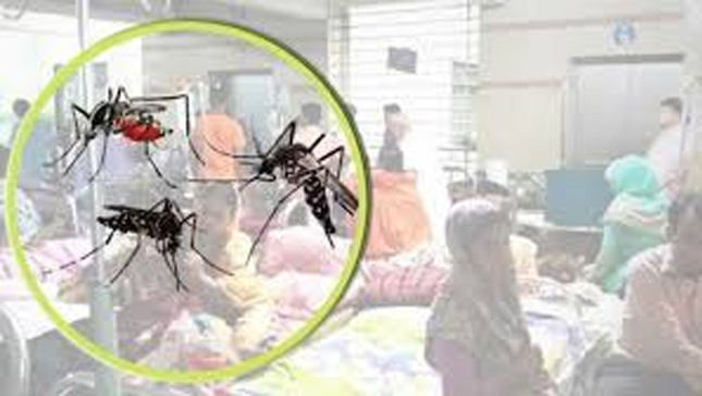 চব্বিশ ঘণ্টায় আরও ১৪৬ ডেঙ্গি রোগী হাসপাতালে ভর্তি