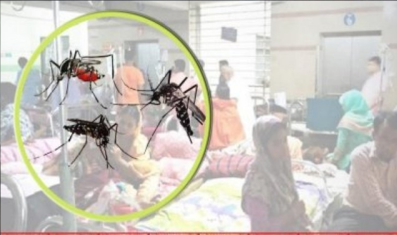 ১২৩ জন নতুন ডেঙ্গু রোগী হাসপাতালে ভর্তি
