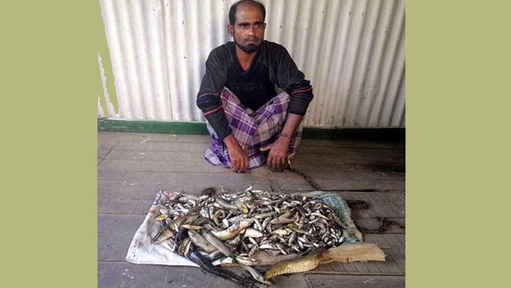 সুন্দরবনে বিষ দিয়ে মাছ ধরায় একজন আটক