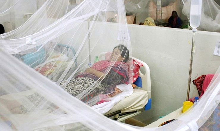 আতঙ্ক বাড়াচ্ছে ডেঙ্গু