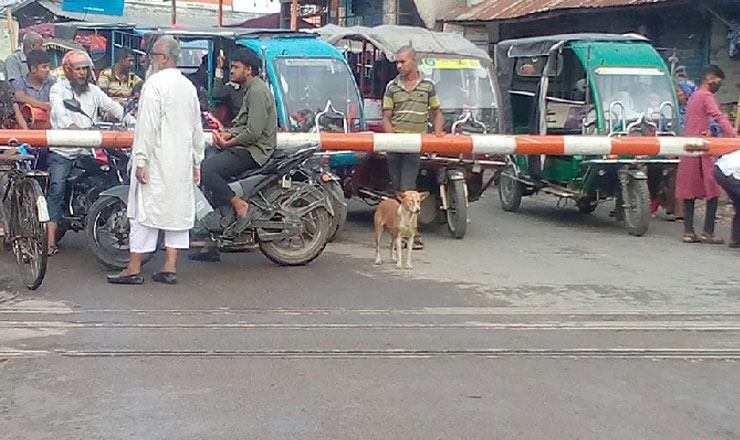 রেলগেটে কুকুরের নিয়ম মানার ছবি ভাইরাল