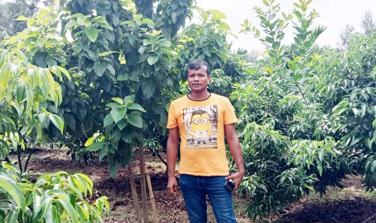 ২০ প্রজাতির দেশি-বিদেশি ফলের মেরিন ইঞ্জিনিয়ার সারোয়ার সোহেলের শখের বাগান