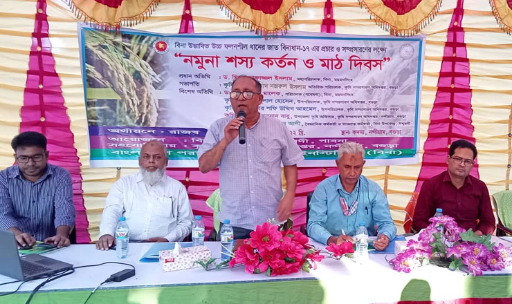 নন্দীগ্রামে নমুনা শস্য কর্তন ও মাঠ দিবস পালিত 