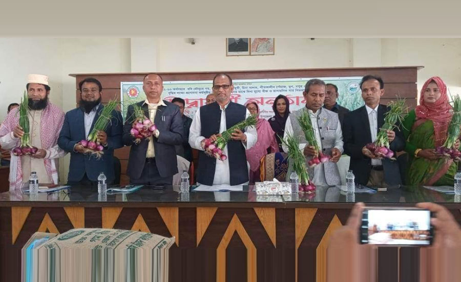 বাগমারায় গ্রীস্মকালীন পেঁয়াজ চাষে কৃষকের আগ্রহ বেড়েছে