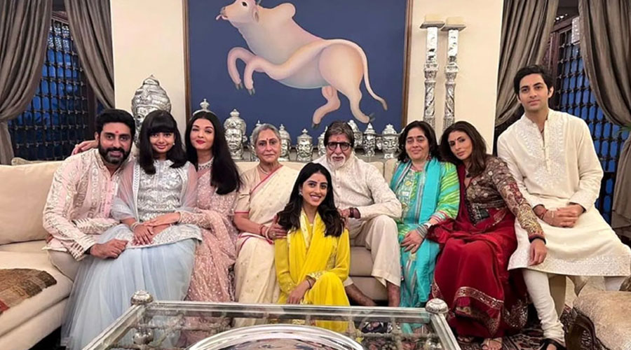 বচ্চন পরিবারের বিদ্যার দৌঁড় কতদূর?