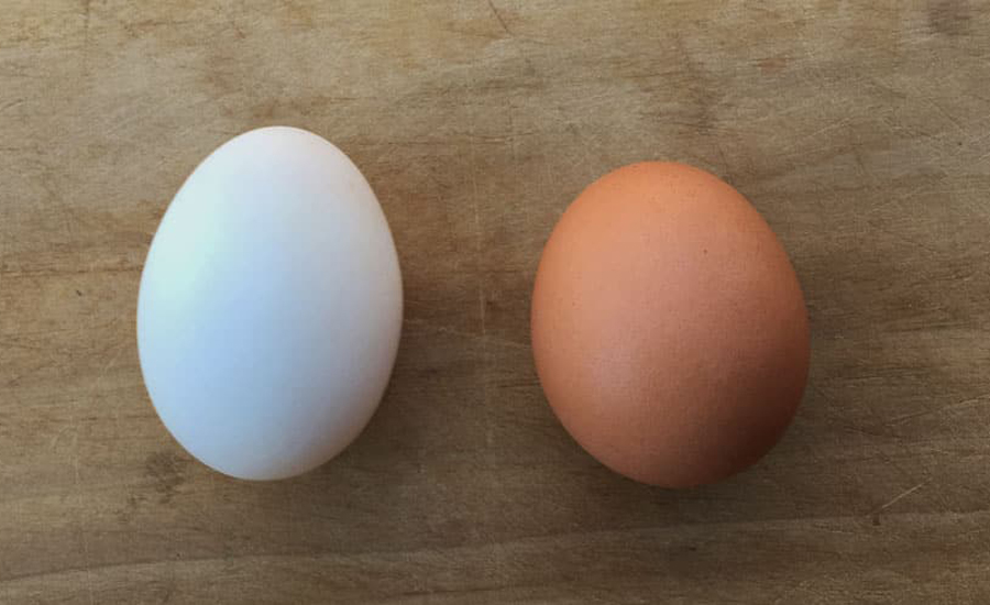 হাঁসের ডিম না মুরগির, কোনটা খেলে বেশি উপকার পাওয়া যায়?