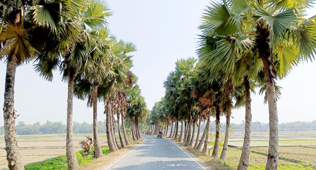 বাগমারায় এমপি এনামুল হকের চেষ্টায় যোগাযোগ খাতের বিপ্লব