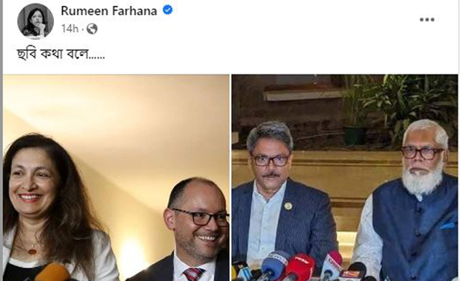 ছবি পোস্ট করে কী বার্তা দিলেন রুমিন ফারহানা!