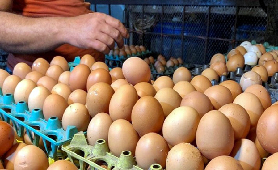 ডিমের ডজন কলকাতায় ৮২, বাংলাদেশে ১৮০