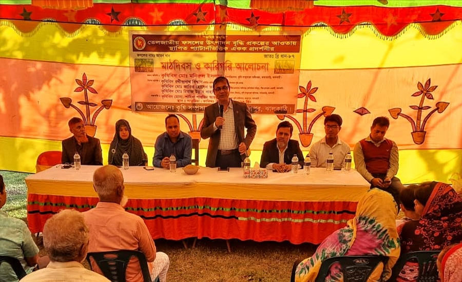 রাজাপুরে কৃষক মাঠ দিবস ও কারিগরি আলোচনা অনুষ্ঠিত 