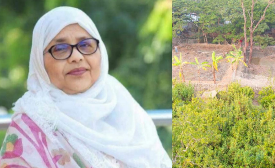 এমপি সুলতানা নাদিরার হস্তক্ষেপে বনদস্যুদের দখলি জমি উদ্ধার ও আদালতে মামলা 