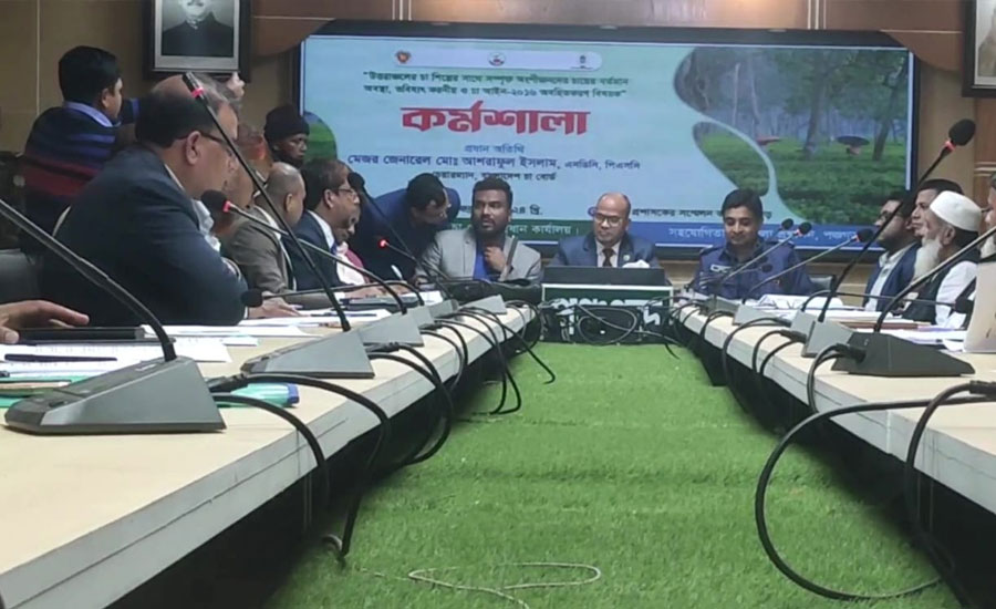 পঞ্চগড়ে চায়ের শিল্পের মোড় ঘোরাতে বিশেষ অভিযান   শুরু করেছে চা বোর্ড