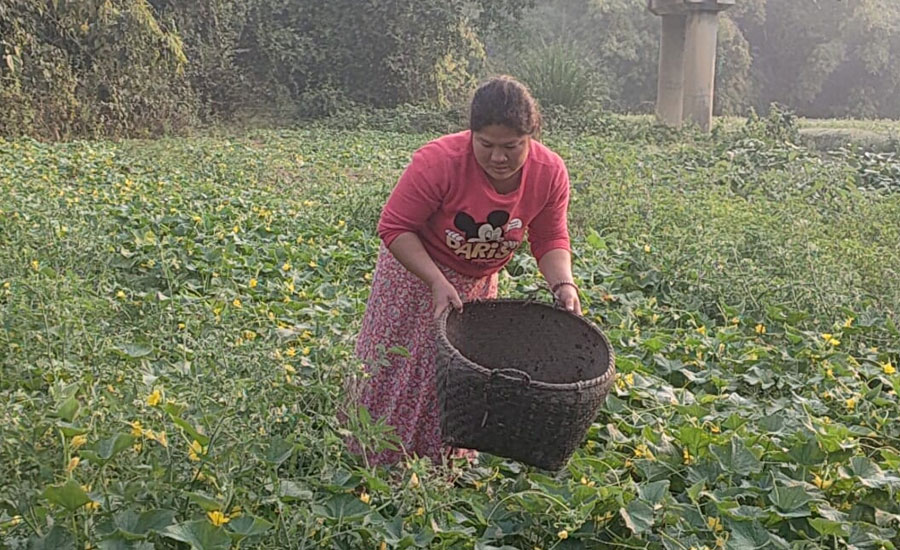 সবজি চাষ করে বছরে ১ লাখ টাকা আয় করেন সুমিতা চাকমা
