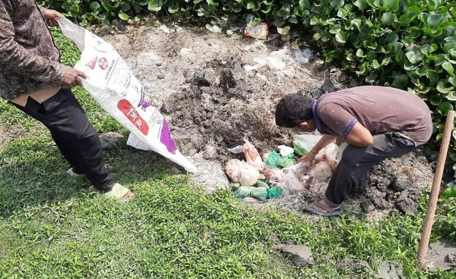 চুয়াডাঙ্গায় মাটিতে পুতে দেয়া হলো এক মন মুরগীর মাংস, জরিমানা ৩০ হাজার