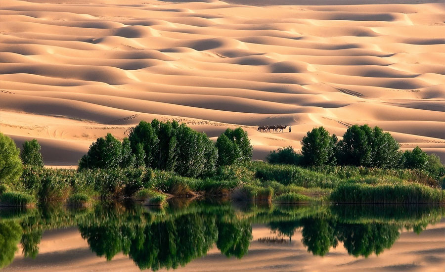 সৌদিতে বৃষ্টি, সবুজ হচ্ছে মরুভূমি, মিলে যাচ্ছে মহানবীর (স) কথা