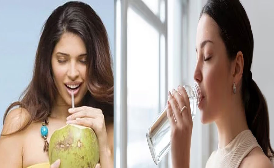 ৪০ ডিগ্রি গরমে কোনটি বেশি উপকারী, ডাবের পানি নাকি লেবুর শরবত?