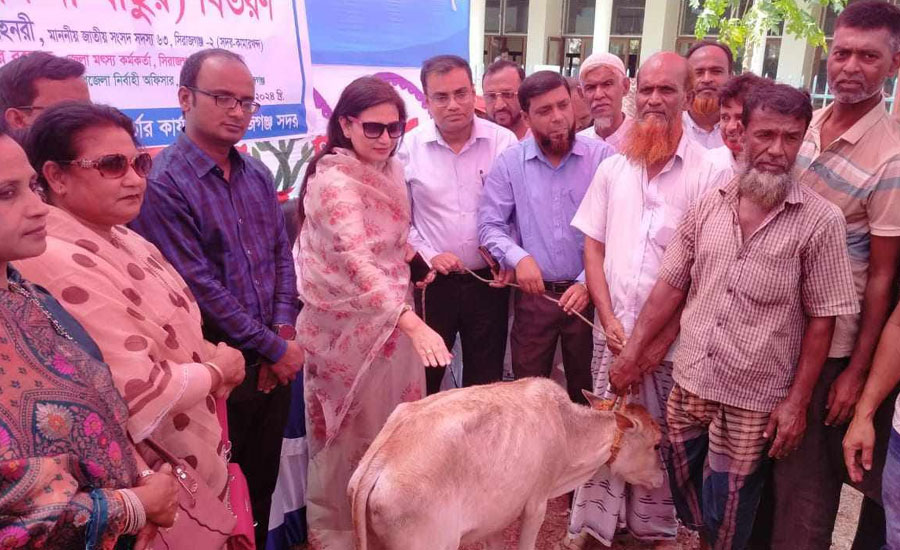 সিরাজগঞ্জে জেলেদের বিকল্প কর্মসংস্থান সৃষ্টিতে বকনা বাছুর বিতরণ