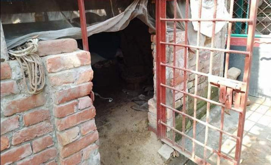 তাড়াশে সাড়ে তিন মাসে অর্ধ শতাধিক গরু চুরি 