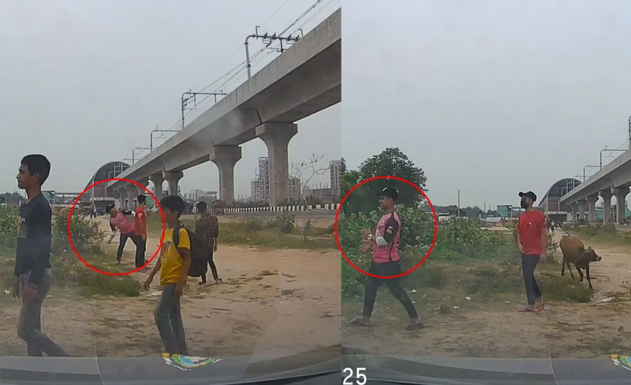 এবার রাস্তা থেকে মেট্রোরেলে ঢিল নিক্ষেপ