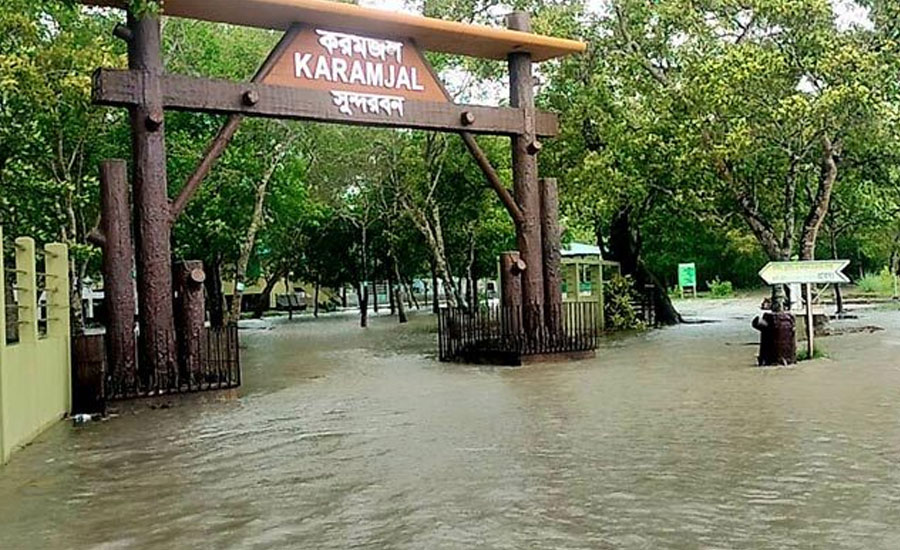 জলোচ্ছ্বাসে তলিয়ে গেছে সুন্দরবন