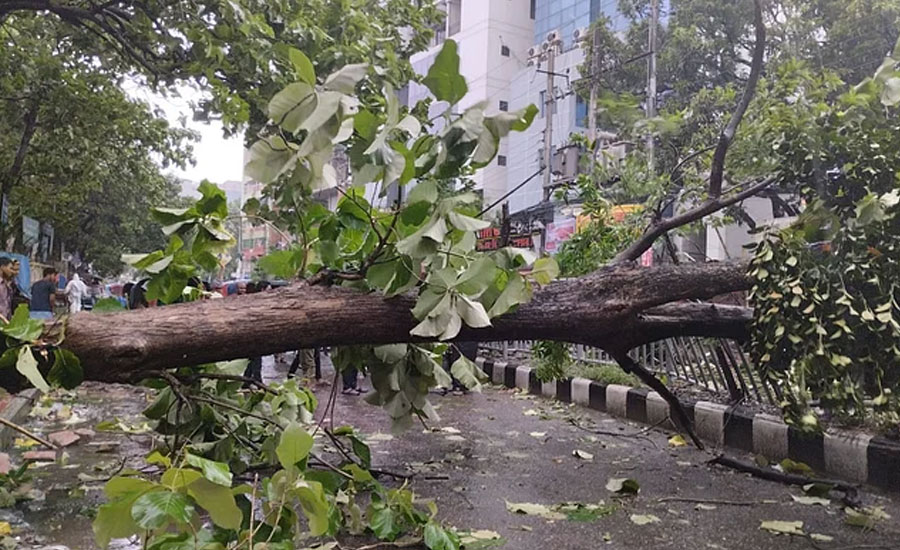ঢাকায় ঝড়-বৃষ্টি চলবে আগামীকালও